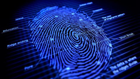 How Long Do Fingerprints Last